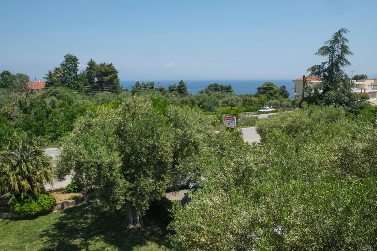 Aphrodite Studios Garden - Kallithea Halkidiki