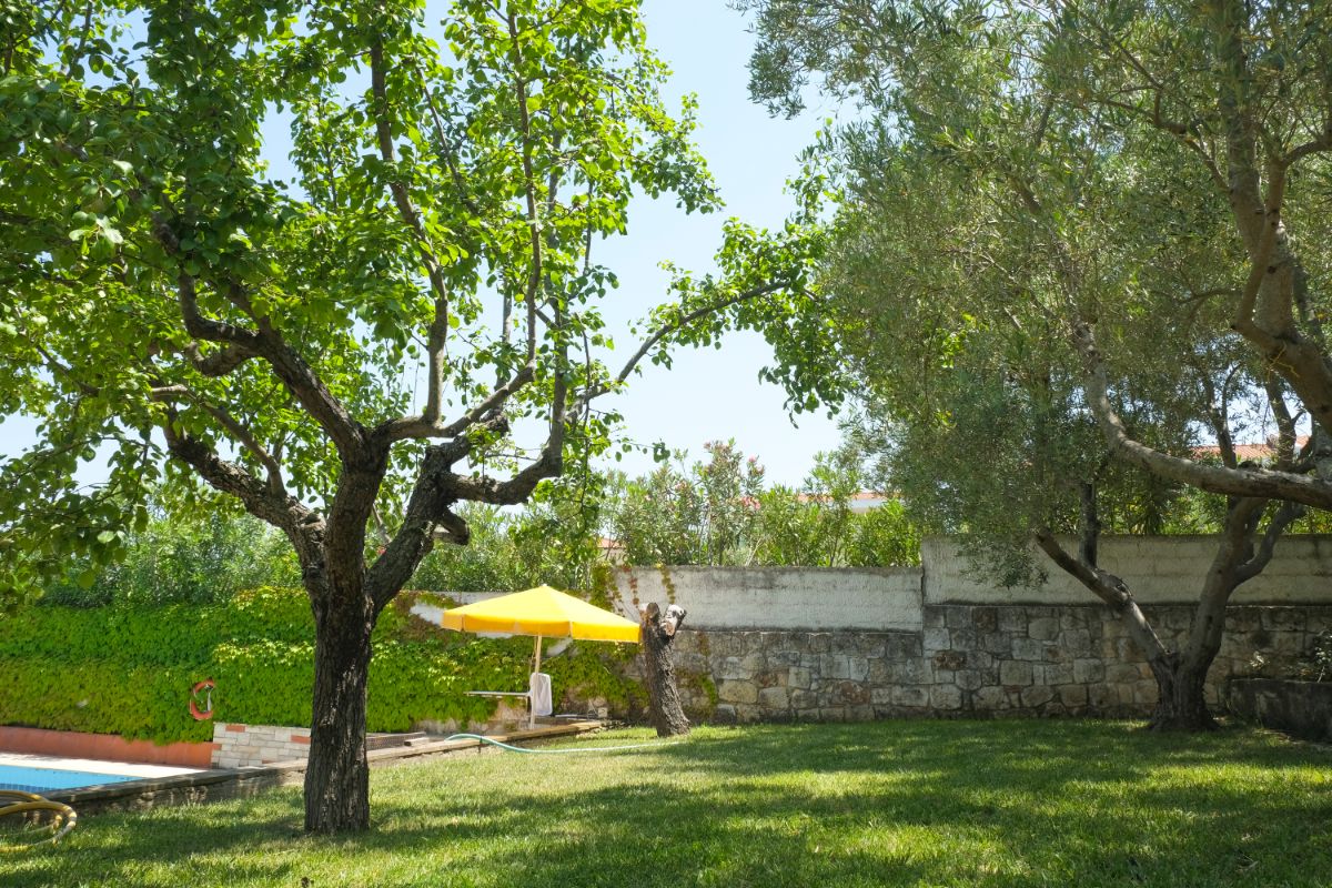 Aphrodite Studios Garden - Kallithea Halkidiki