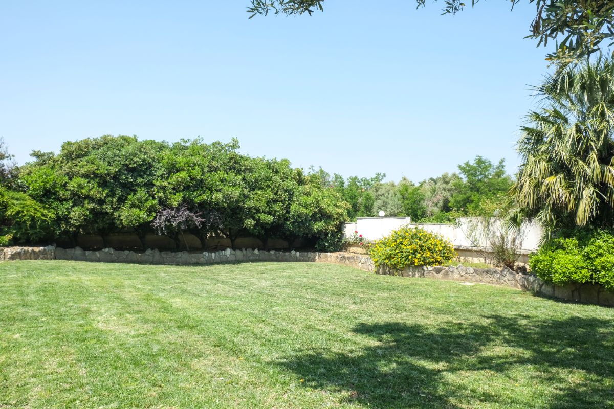 Aphrodite Studios Garden - Kallithea Halkidiki