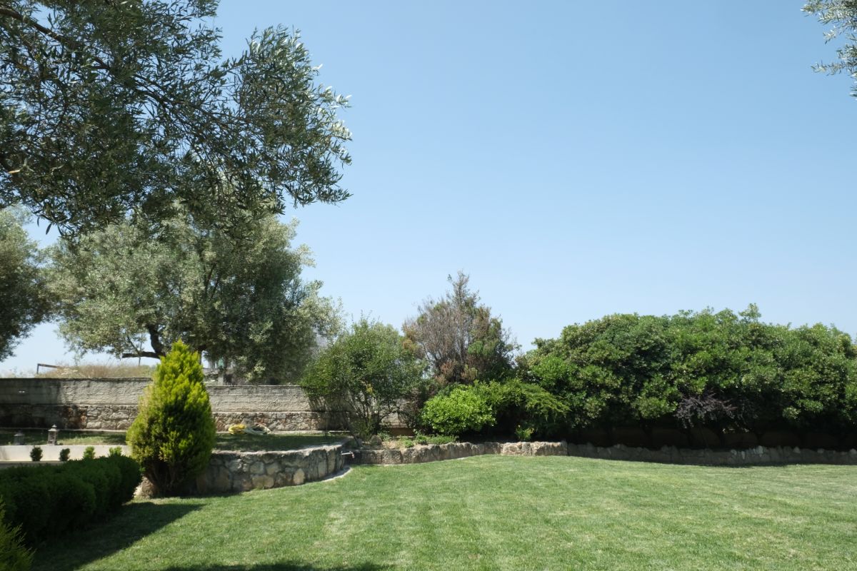 Aphrodite Studios Garden - Kallithea Halkidiki